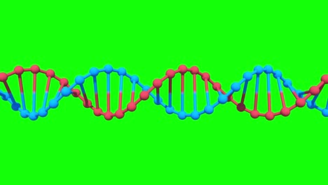 rotating dna on green screen, chroma key, looped animation, 3d rendering