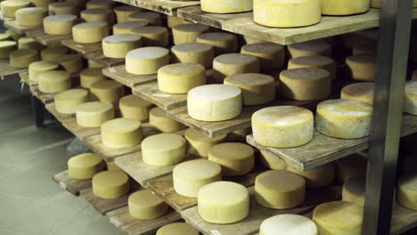 tilt down shot of cheeses in winery