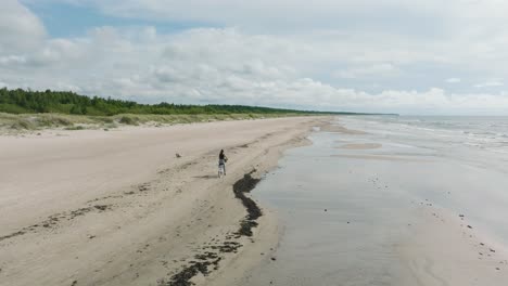 aerial view with a young longhaired girl riding a bike on the sandy beach, sunny day, white sand beach, active lifestyle concept, wide drone shot moving forward