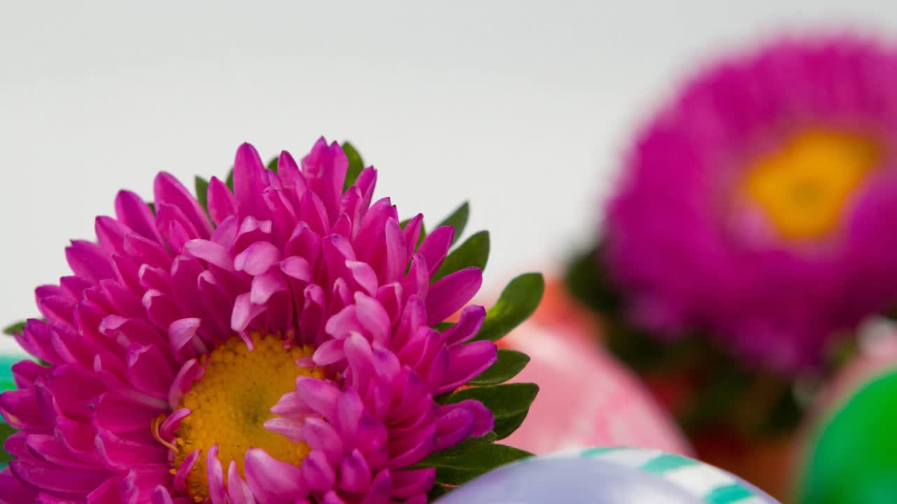 animación de huevos de pascua y flores en la hierba