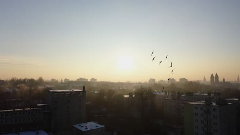 aerial view over urban area shows climate emergency with thick smog and pollution