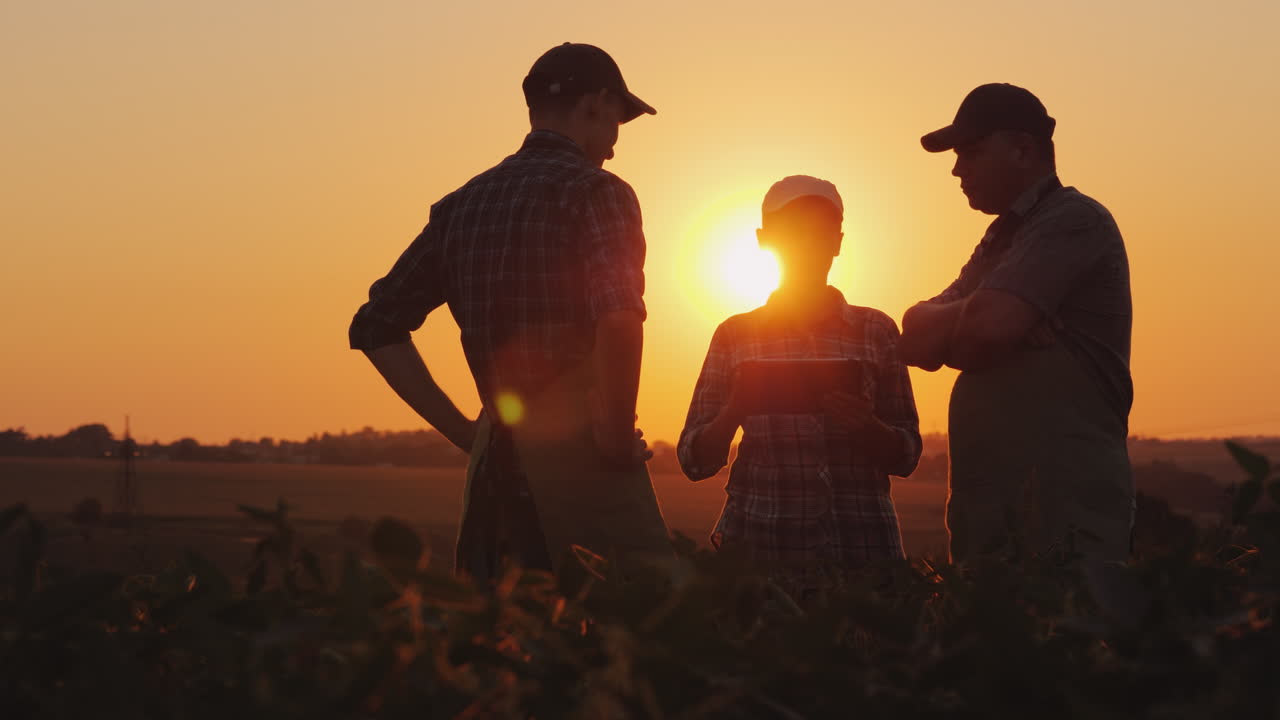 Un gruppo di agricoltori discute nel campo usando un tablet, due uomini e una donna, lavoro di squadra in agricoltura.