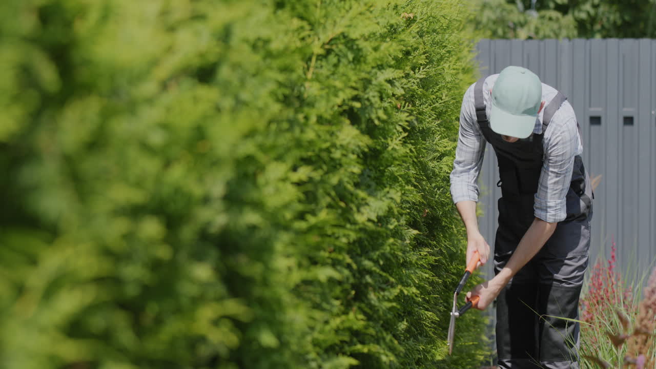 Young gardener in overalls cuts trees in the garden