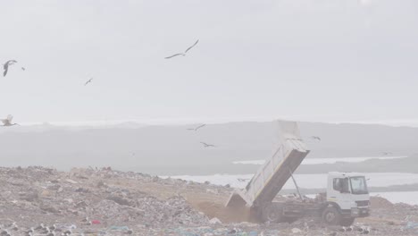 vehicles clearing rubbish piled on a landfill full of trash