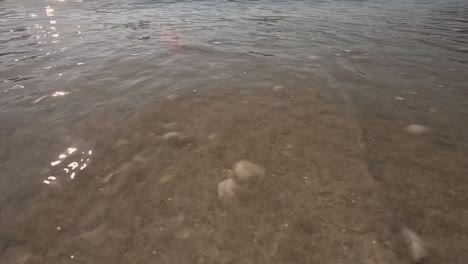 Pequeñas-Olas-De-Agua-Cristalina-Rompen-Suavemente-Y-Se-Desvanecen-Sobre-Las-Conchas-En-La-Arena-De-La-Playa-Con-Reflejos-De-Cálidos-Y-Nostálgicos-Rayos-De-Sol,-Disparados-En-Primer-Plano-Bloqueado