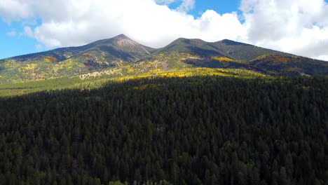 pushing into the forest at the base of humphreys peak near flagstaff, arizona