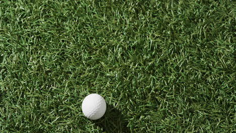 primer plano de una pelota de golf en el césped, espacio de copia, cámara lenta
