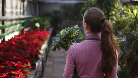 vista posterior de una joven florista con cola de caballo en un delantal caminando entre filas de flores en una floristería o invernadero mientras sostiene dos macetas con plantas en sus manos. disparo en cámara lenta
