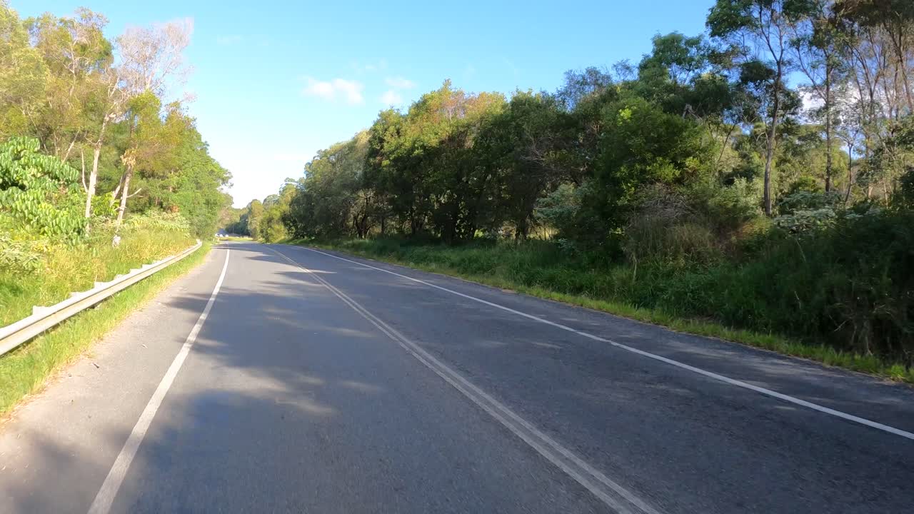 울창한 주변에서 평화로운 도로 여행