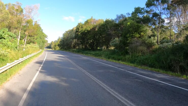 Un viaggio su strada tranquillo in un ambiente lussureggiante