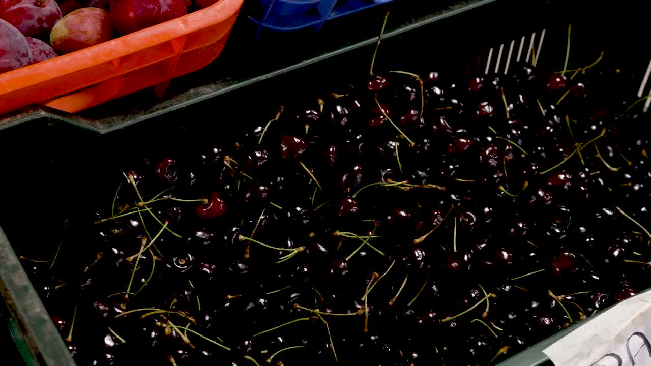 Nestled in a bustling market, glossy cherries glisten under the warm sun, tempting passersby. Vibrant colors and lively energy fill the air as shoppers