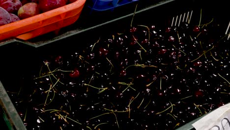 nestled in a bustling market, glossy cherries glisten under the warm sun, tempting passersby. vibrant colors and lively energy fill the air as shoppers