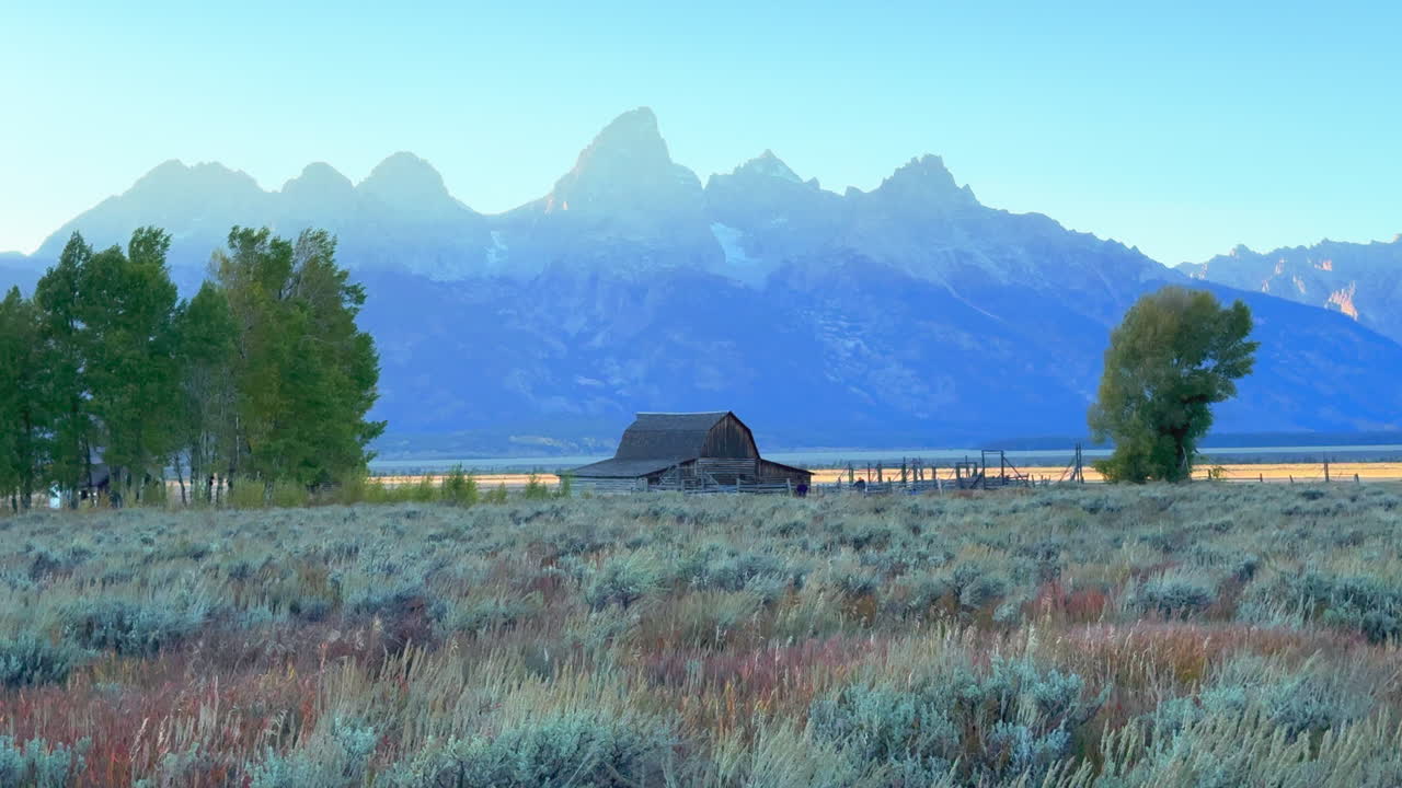 그랜드 테튼 국립공원 몰몬 줄 모울턴 창고 바람 높은 풀이 떨어지는 아스펜 황금 노란 나무 잭슨 홀 와이오밍 낮 아름다운 파란 하늘 늦은 오후 일몰 영화 여전히 삼각대