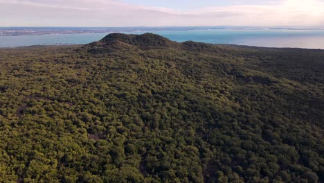 Malerische-Landschaft-Mit-Dichtem-Wald-Auf-Der-Insel-Rangitoto,-Umgeben-Vom-Golf-Von-Hauraki-In-Auckland,-Neuseeland