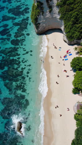 Aerial View of a Tropical Beach with Turquoise Water and People Relaxing