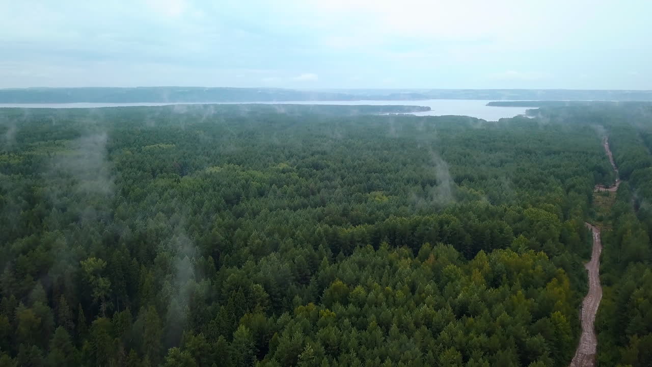 bosque de niebla con vistas a un río