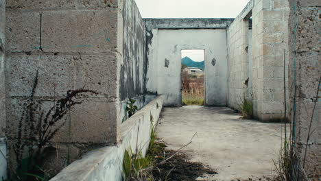 estructura de cemento sin techo abandonada en un campo de hierba de tussock dentada disparo de detalle estático
