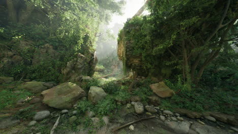 a lush green forest path