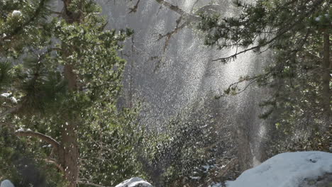 Schnee-Fällt-In-Den-Wald,-Fängt-Sonnenstrahlen-Ein,-Schöne-Hintergrundbeleuchtung,-Neigung