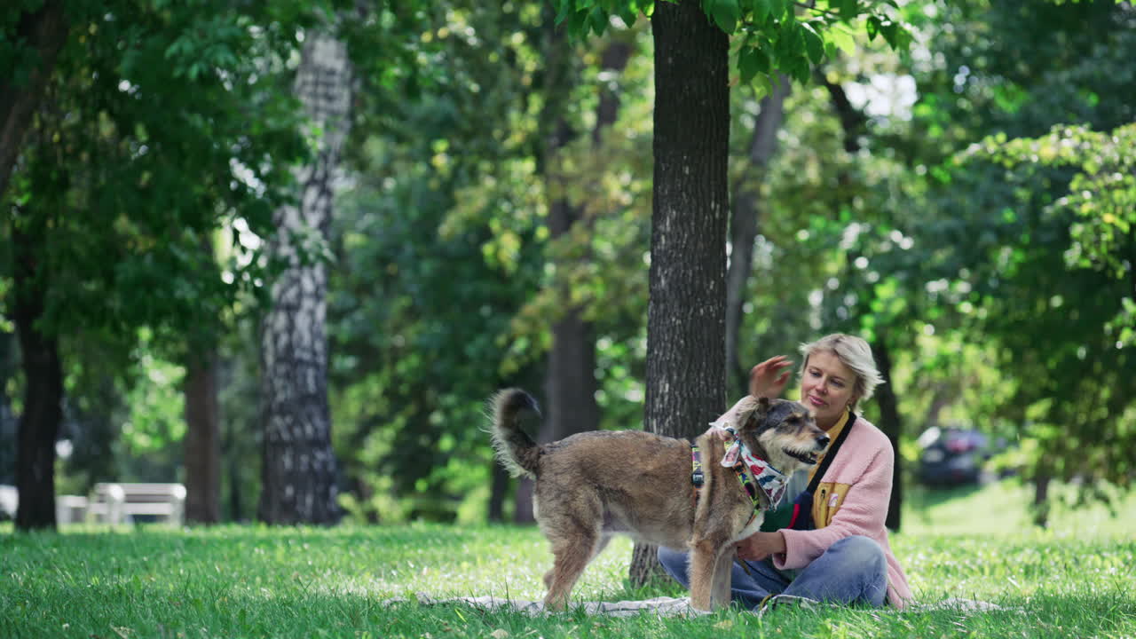 Woman Sitting on Green Lawn in Park, Petting and Feeding Dog Treat