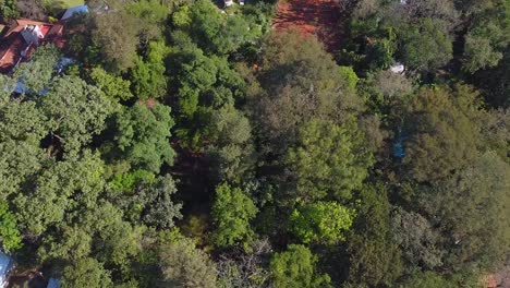 Aerial-top-to-down-view-of-residential-houses-in-Reserva-Natural-Urbana-'Rincón-Nazarí'-Posadas,-Argentina