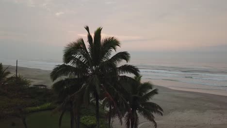 Slow-motion-4k-drone-shot-of-beautiful-beach-and-palm-trees-in-Brazil