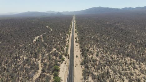 aerial: long straight road through desert wilderness, tilt up reveal