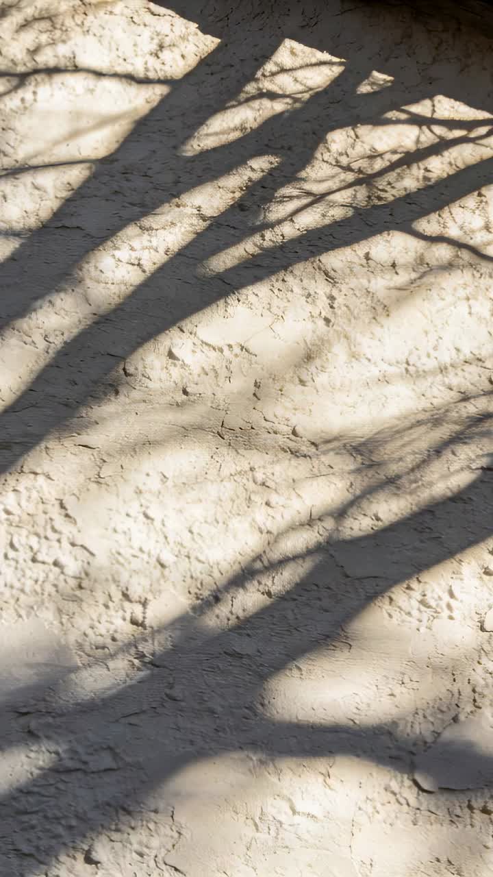 Vertical video: Shifting sun casting moving branch and twig shadows on stucco wall with eave