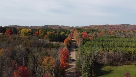 Car-traveling-alone-on-road-during-autumn,-colorful-leaves