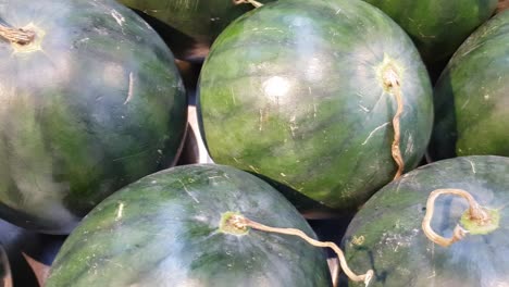 fresh produce of watermelons fruit to be used as food preparing ingredient for fruit salad