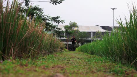 asian man wearing black shirt and long camo cargo pants, running away from camera in a paddy field, in low angle shot