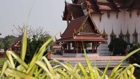 gradual reveal of a temple behind leaves