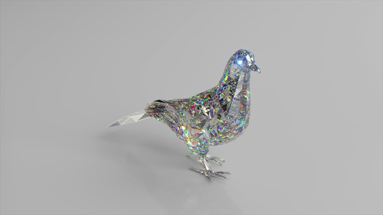 Walking diamond pigeon. The concept of nature and animals. Low poly. White color. 3d animation of seamless loop