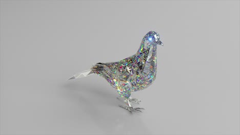 walking diamond pigeon. the concept of nature and animals. low poly. white color. 3d animation of seamless loop