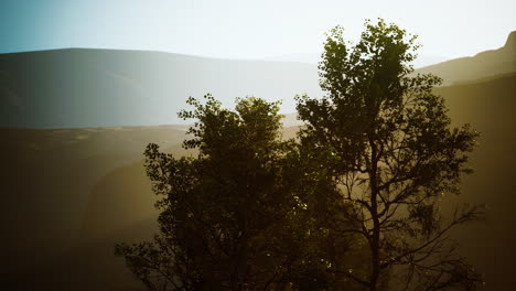 scenic landscape with steep cliffs and trees during a sunny day