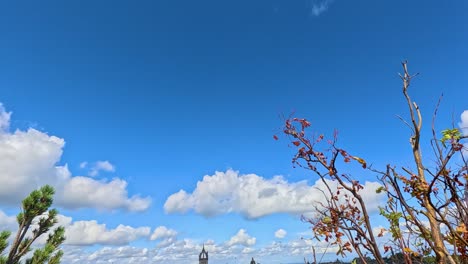 time-lapse of clouds over trees in edinburgh