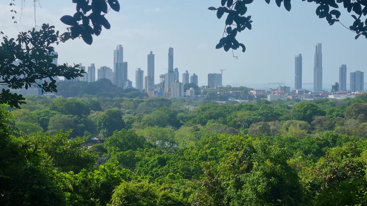 Vista panorâmica da exuberante vegetação tropical do Parque Natural Metropolitano em direção à Cidade do Panamá, onde céus nebulosos, arranha-céus imponentes e poluição visível criam uma paisagem urbana marcante.