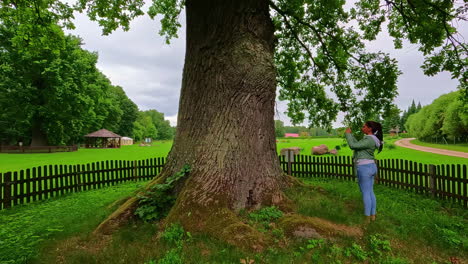 mujer caucásica toma una foto y abraza un gran árbol rodeado por una valla