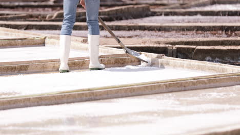 scraping the salt on top of salt pans at salinas de rio maior in portugal