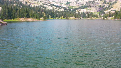 Aerial-Drone-Flies-Low-near-Clear-Blue-Lake-Water-then-Rises-to-Reveal-Pine-Tree-Forest-along-Mountain-Ridge-in-Nederland-Colorado-during-Summer-in-the-Rocky-Mountains