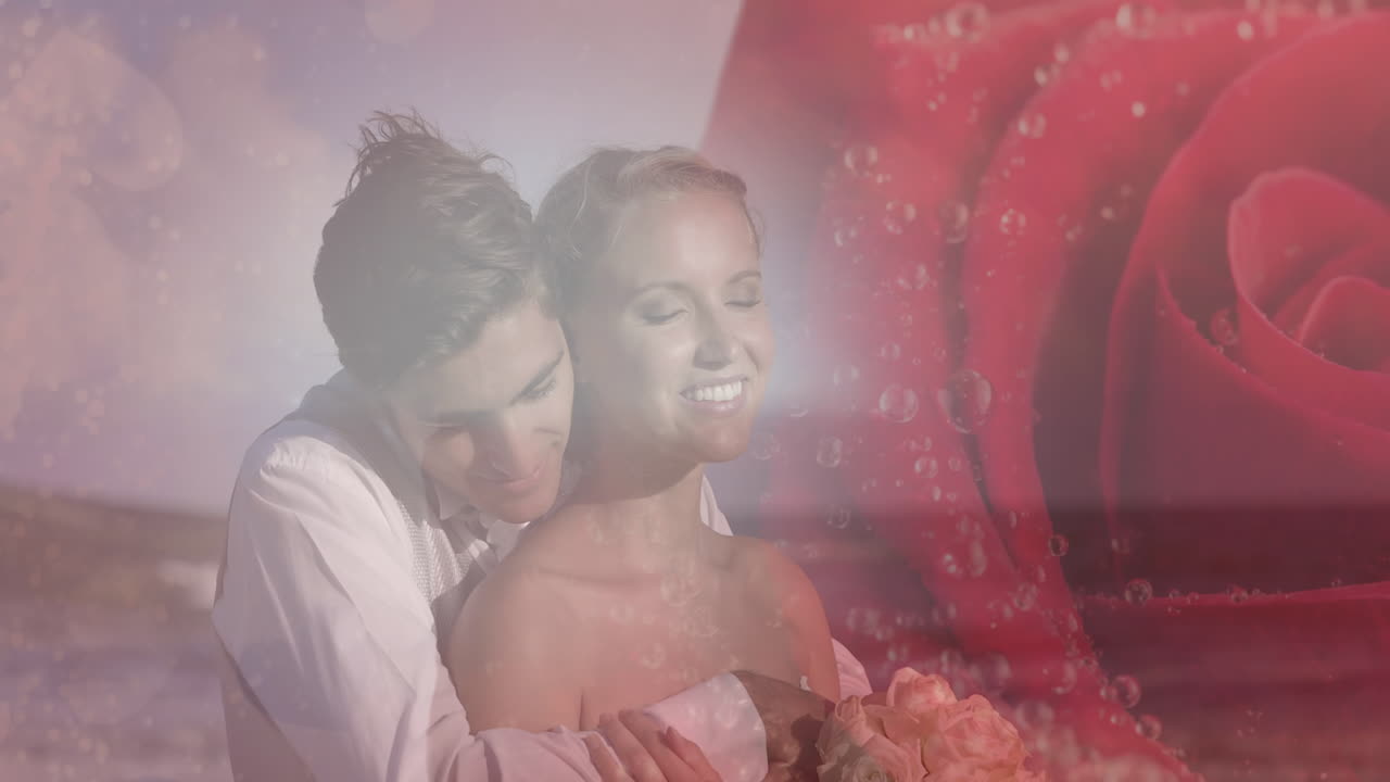 해변에서 결혼한 부부의 로즈 오버 애니메이션