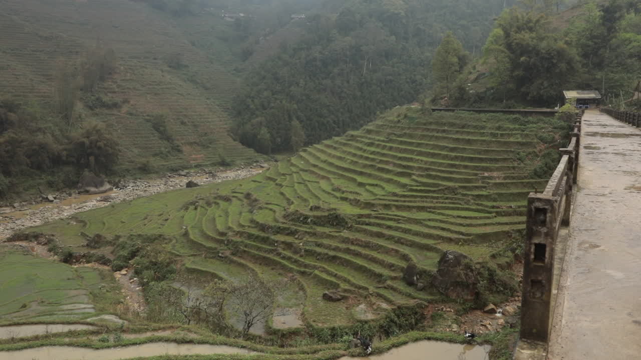 Stunning Rice Terraces in Vietnam