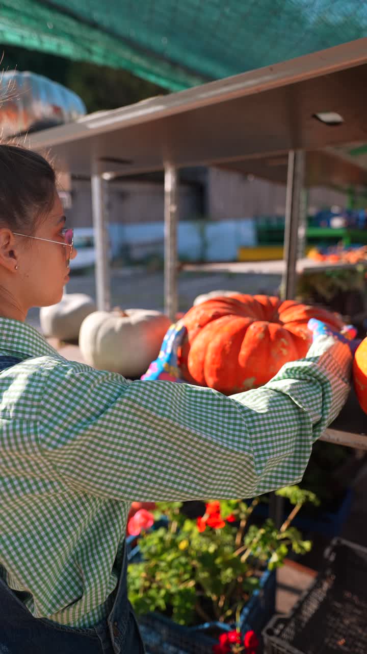 mujer recogiendo calabazas