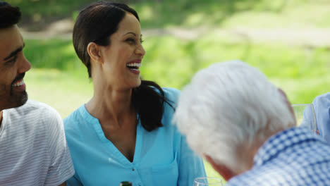 Family-interacting-with-each-other-while-having-wine-in-the-park