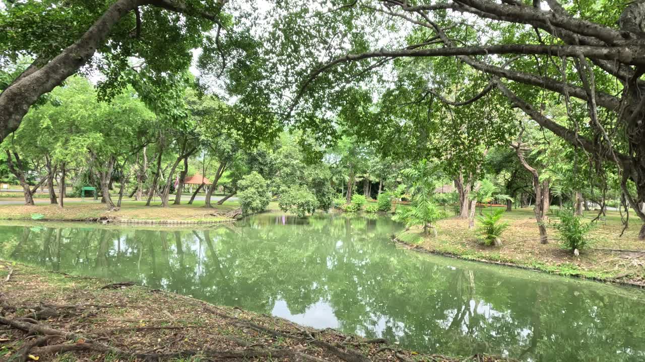 조용한 호수 에서 날아다니며 착륙하는 새들.