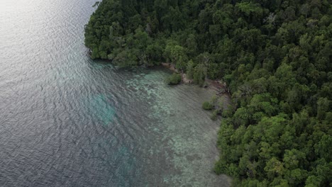 Atemberaubende-Aussicht-Auf-Korallenriffe,-Ruhiges-Türkisfarbenes-Wasser-Und-Grünen-Dschungel-Im