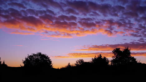 sunset over silhouetted trees