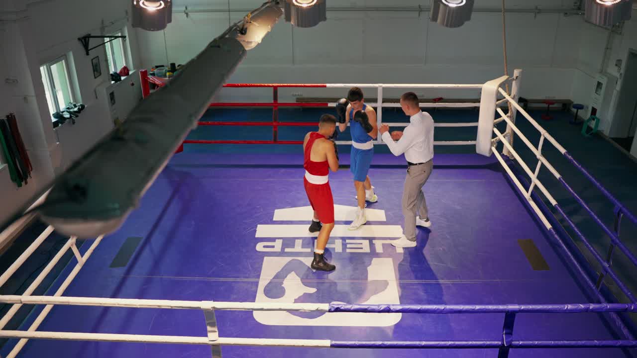 Boxing Match in the Ring