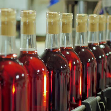 bottles of red wine move on a conveyor belt 14