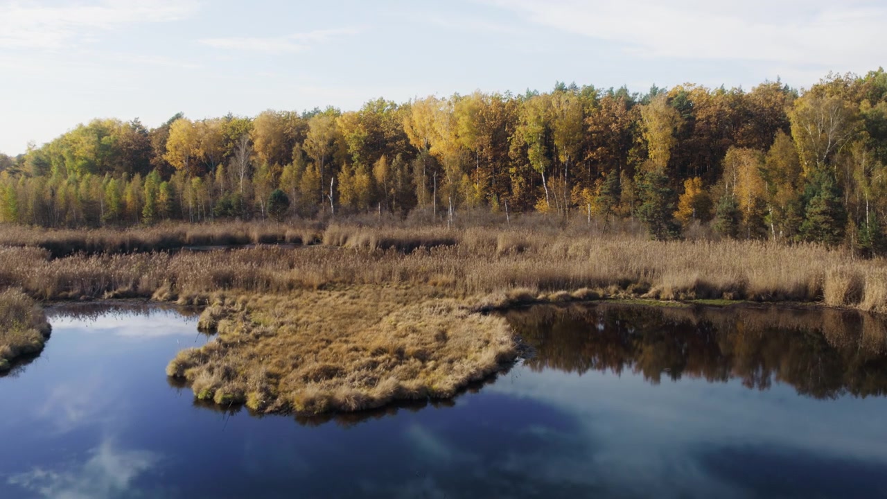 Luftfoto af en rolig skovsø om efteråret